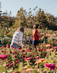 Stone Meadow Gardens Gift Certificate