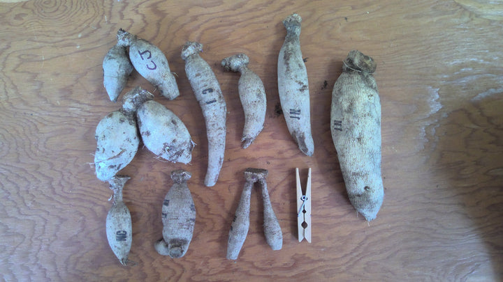 Tuber Stamp Key