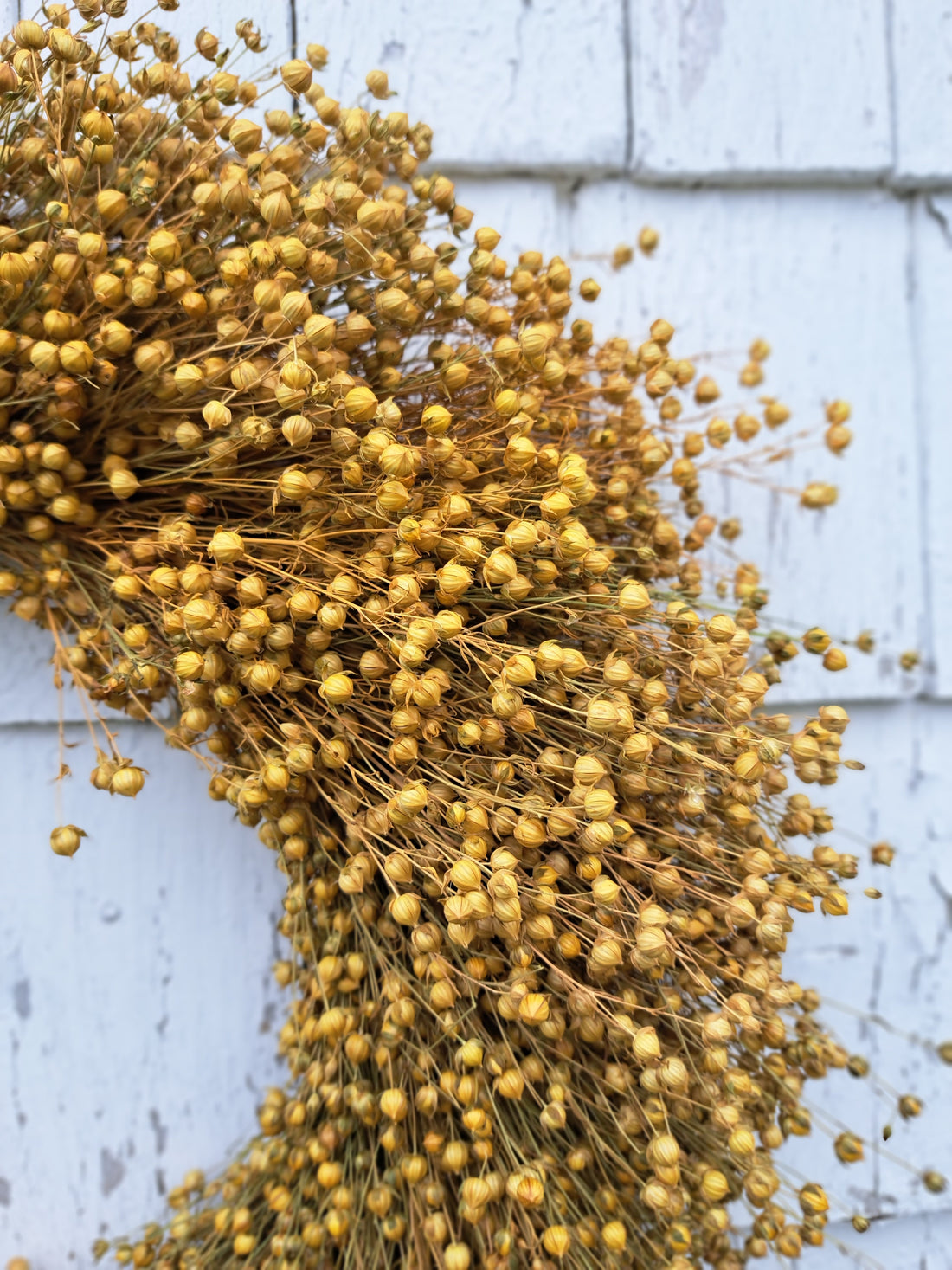 Golden Flax Wreath