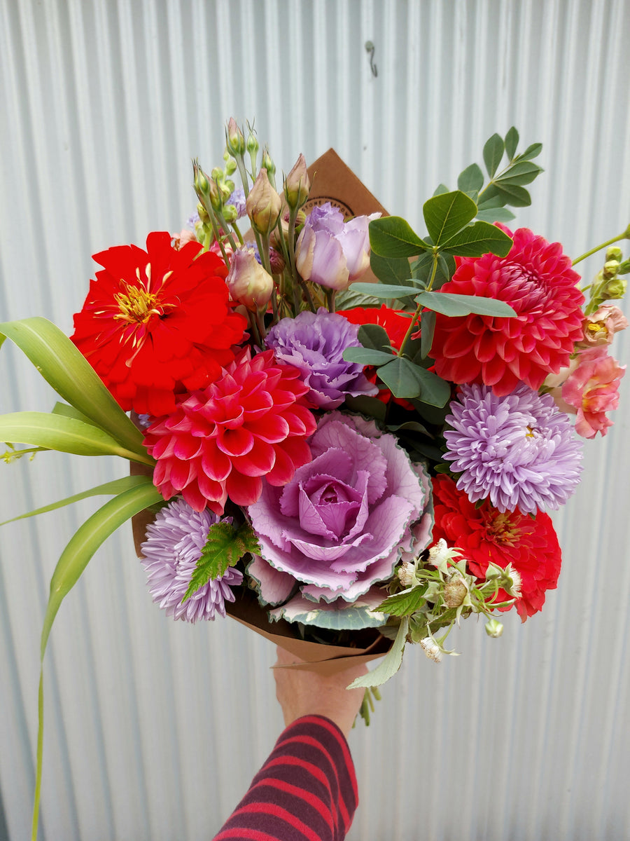 Dahlia Intrigue