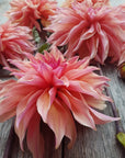 Dahlia Labyrinth close up